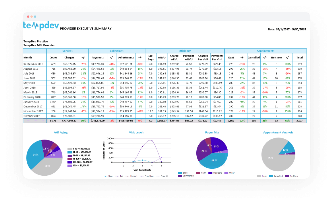 Provider Revenue Executive Summary 